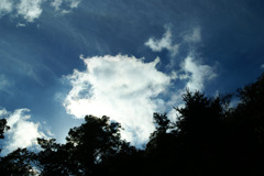 雲光５