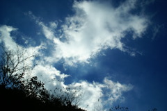 雲光１