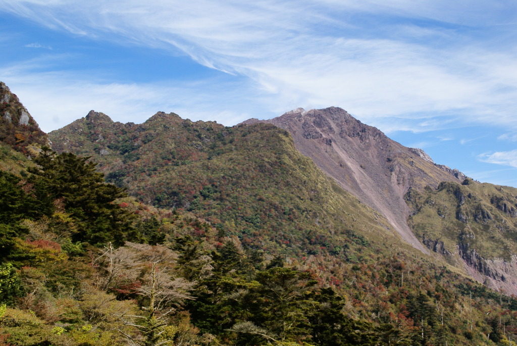平成新山６