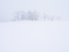 桧原湖～雪景４