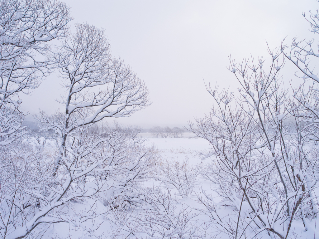 桧原湖～雪景１