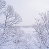 桧原湖～雪景１