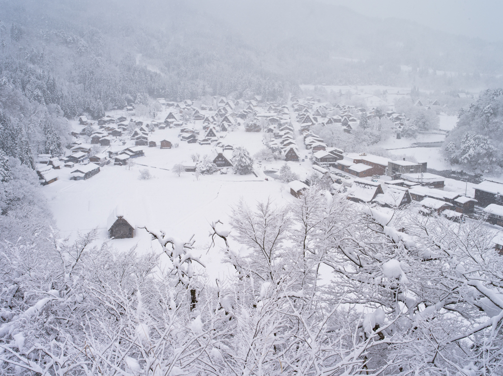冬の白川郷１
