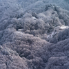 里山に射す光