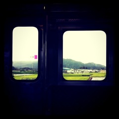 写真_1