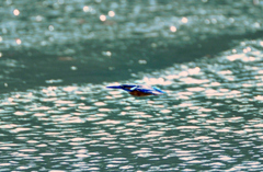 空飛ぶ流線型