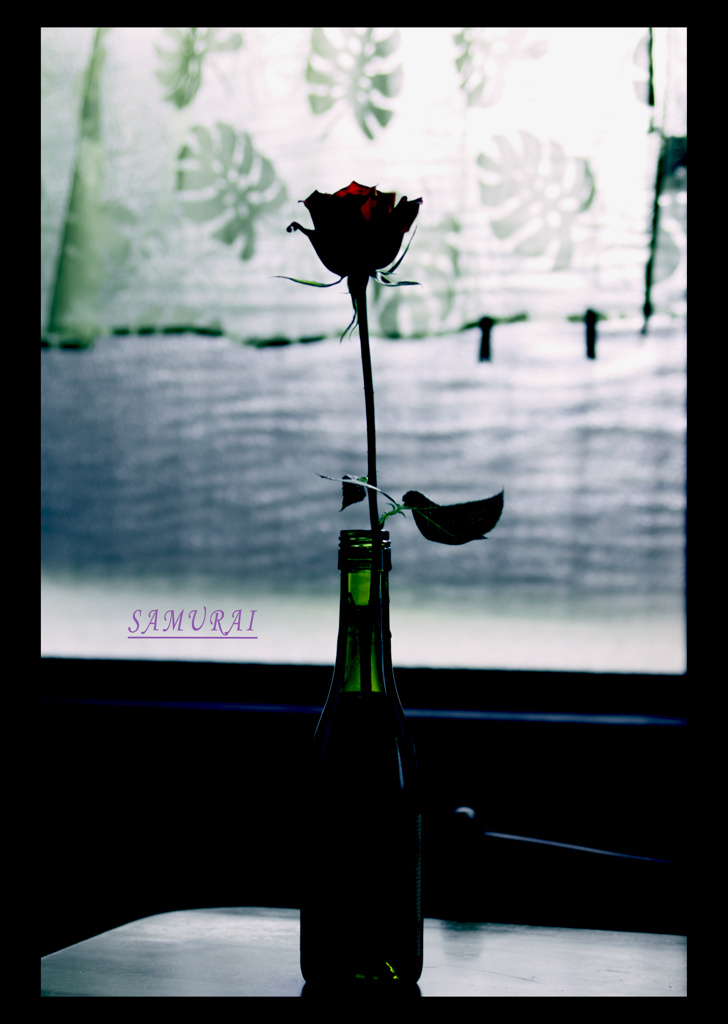 - 空き瓶と薔薇 -