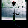 - 空き瓶と薔薇 -