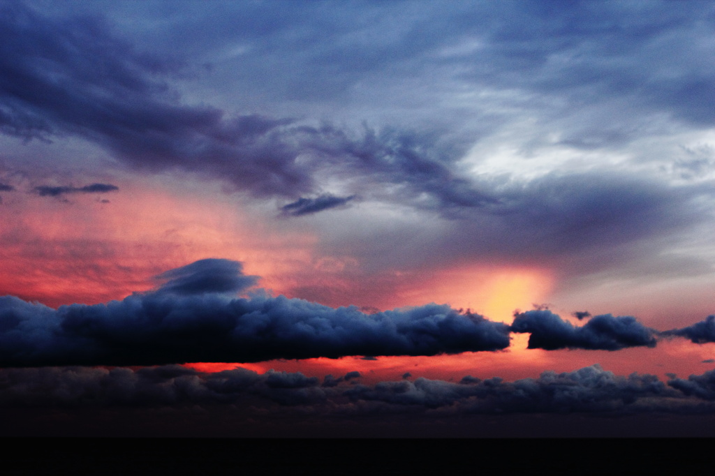 - 花街道の夕景 -