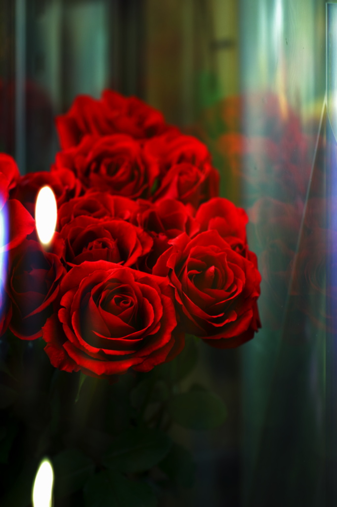 - 薔薇のある花屋 -