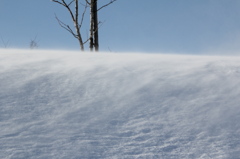 雪原