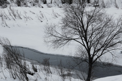 凍てついた川