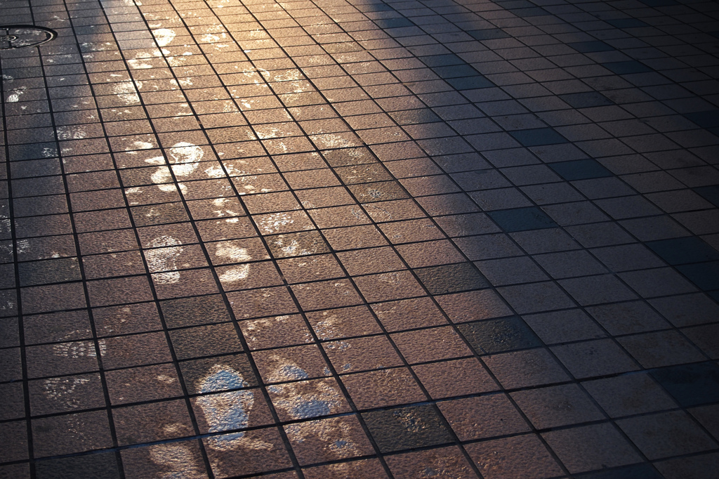 あなたが歩んだ軌跡は