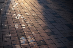 あなたが歩んだ軌跡は