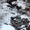 奥三河雪景色