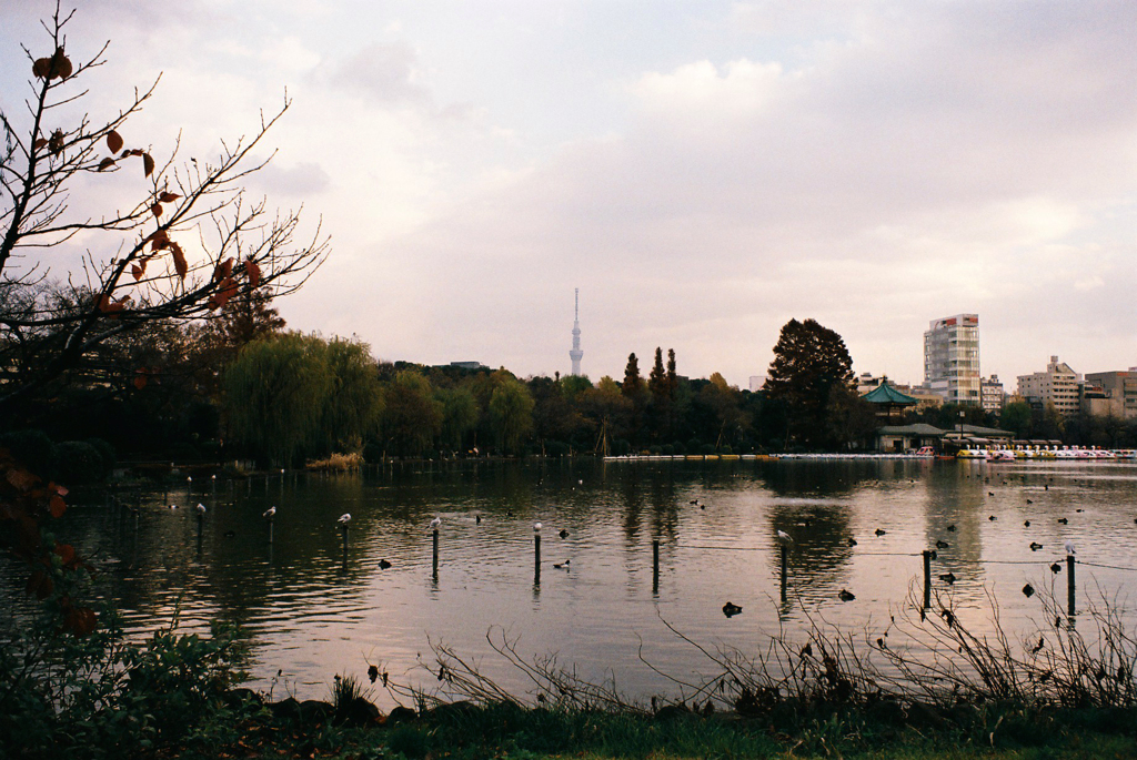 上野公園