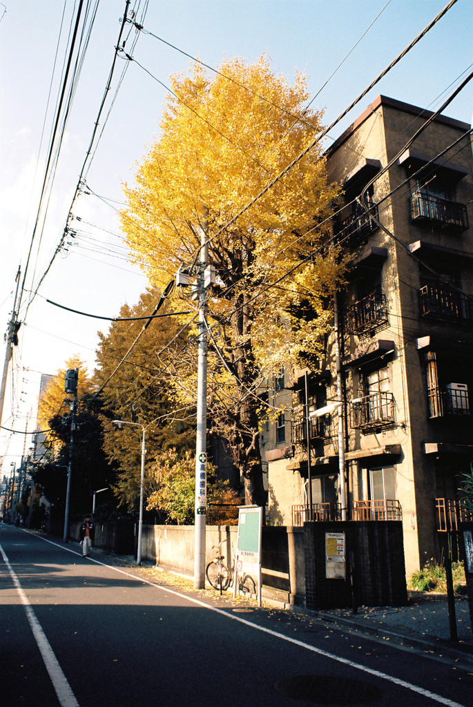 東上野