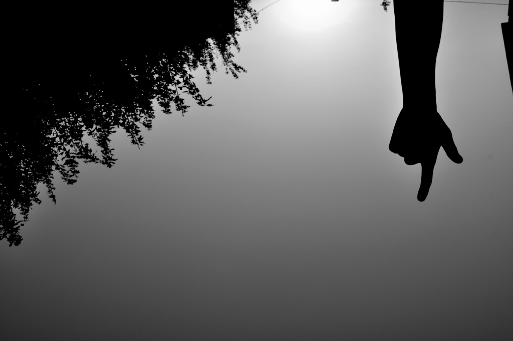 down to dawn