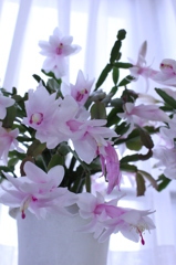 咲き乱れ③　2012