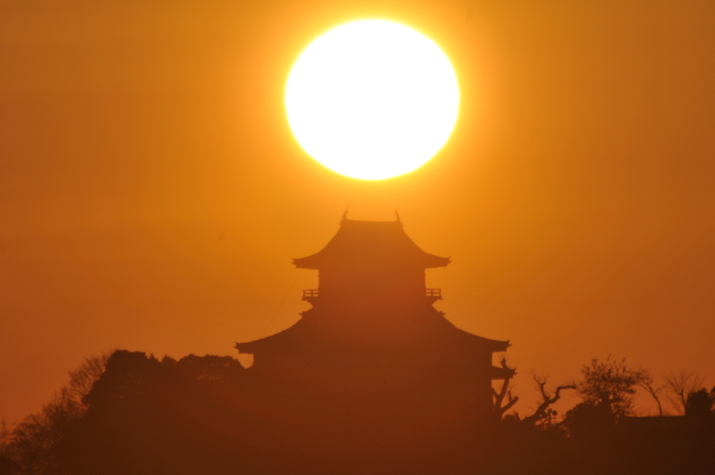 希望の星かも