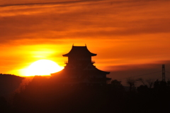 太陽の恵み