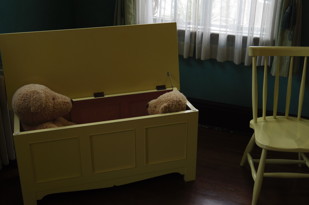 Bears