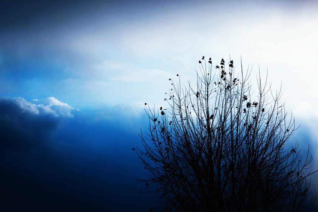冬の空