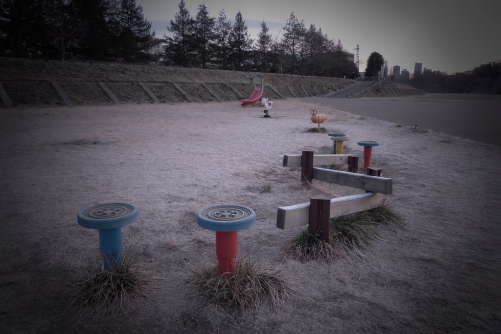 冬枯れの遊具