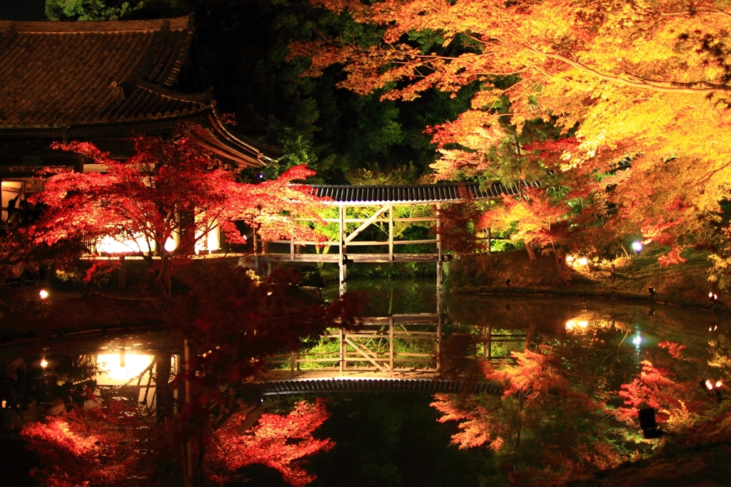 日本　秋の庭