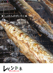 レインドネ１　4-2