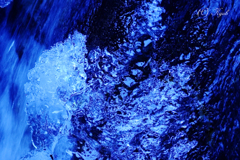 冬の宝石2012
