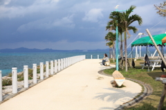 海岸線の風景