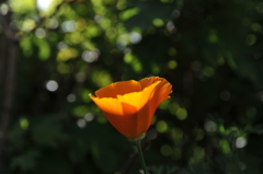 044
