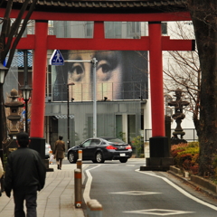 美女がみつめる氷川参道