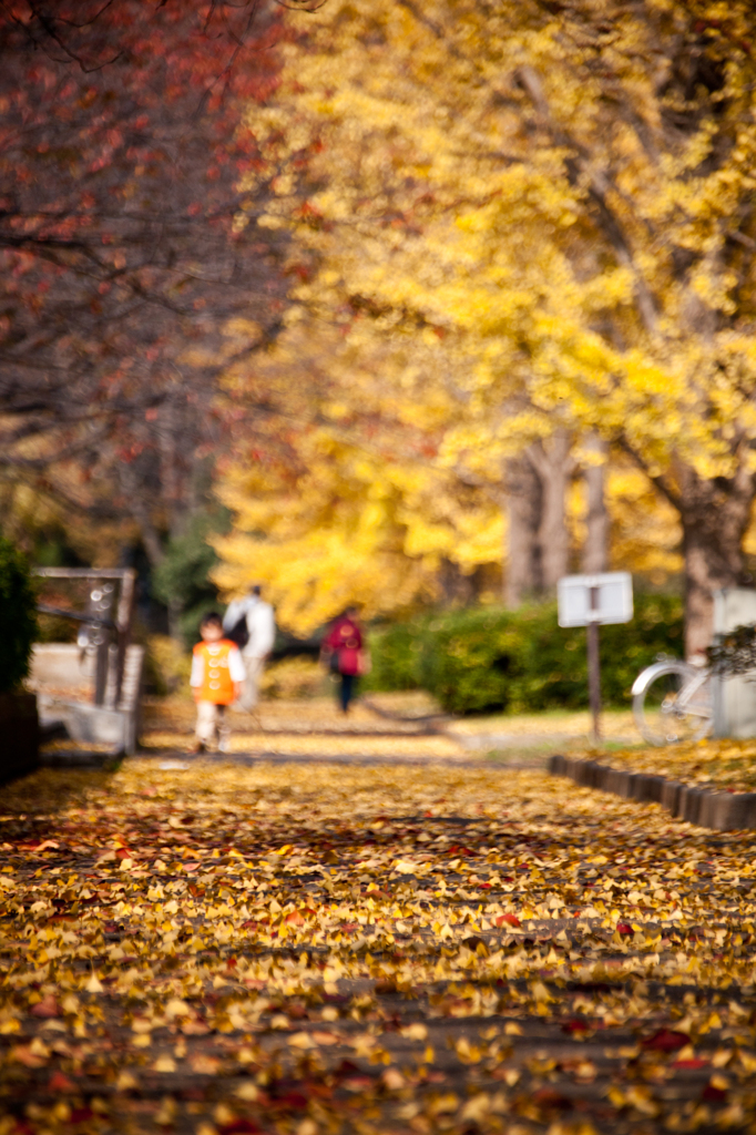 Feeling of autumn