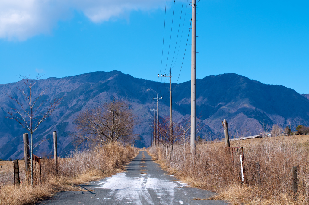 向かう先