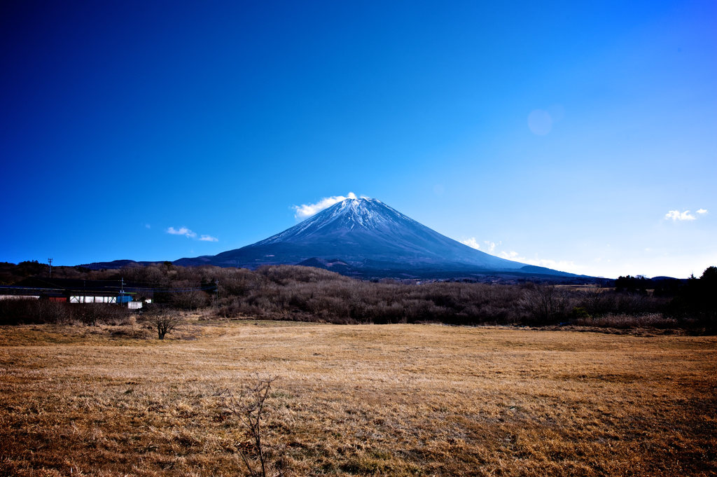 褐色の大地で