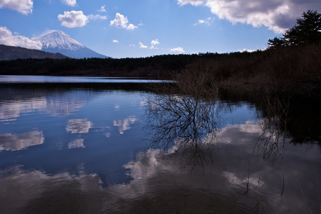 冠水