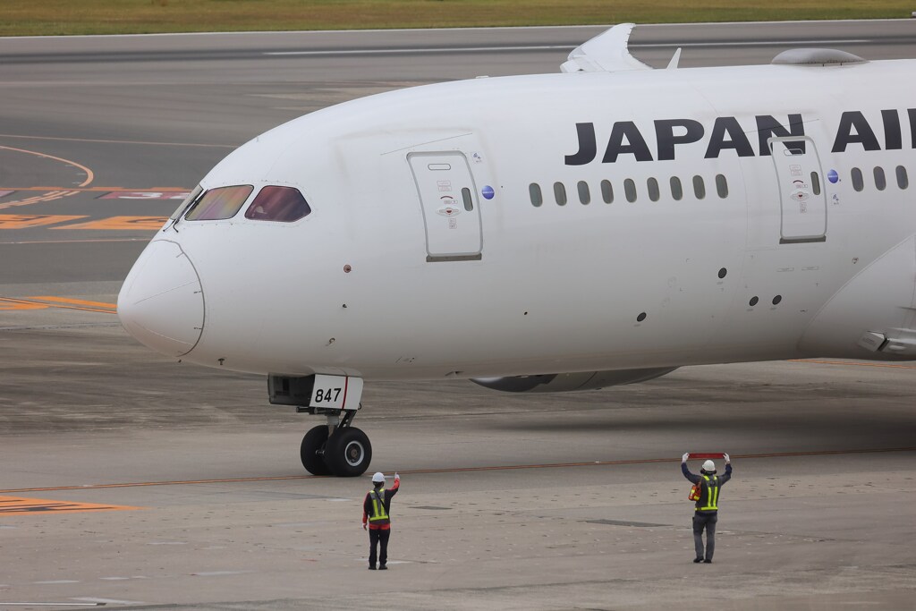 s-kanedakgytredc_825