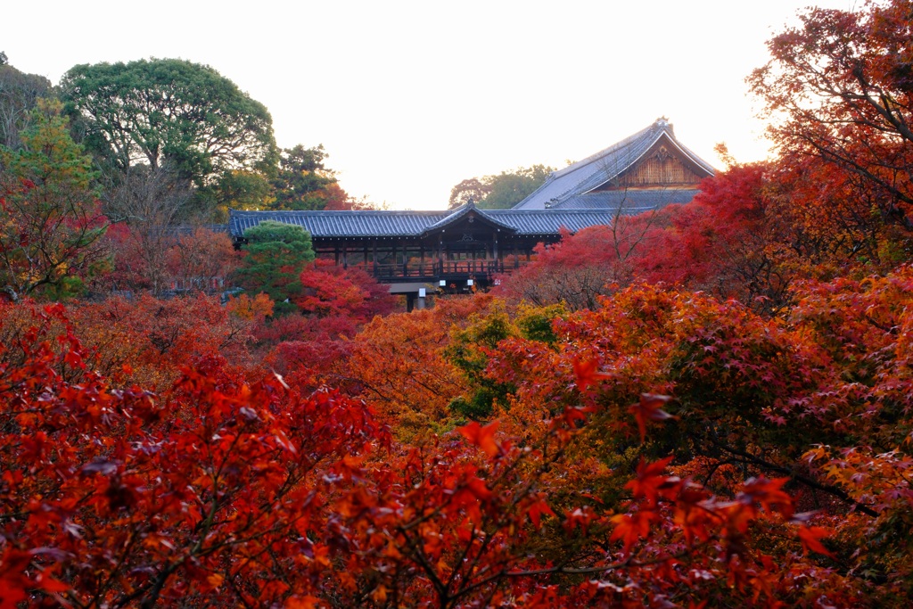 京都/東福寺