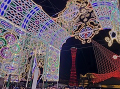 神戸/ルミナリエ5