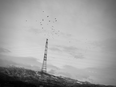 Paths will cross again