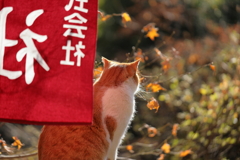 哀愁が漂ってます・・・・。