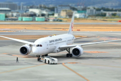 旅の始まりを支える小さな手