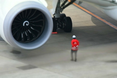 巨大な翼と小さな守り人