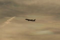 夕日に照らされて