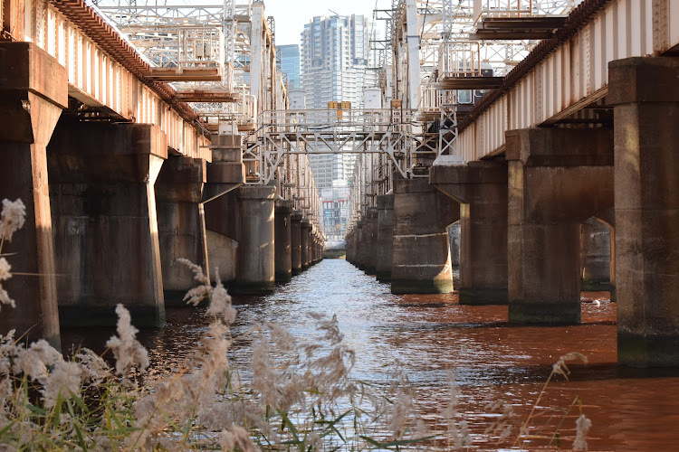 橋脚の向こうへ