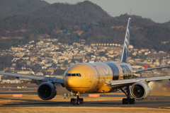 伝説のたくあん