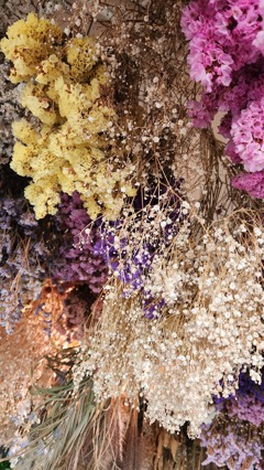 ドライフラワー