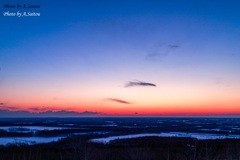 ビーナスベルト